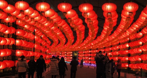 元宵佳节闹花灯 璀璨夜景绿博园