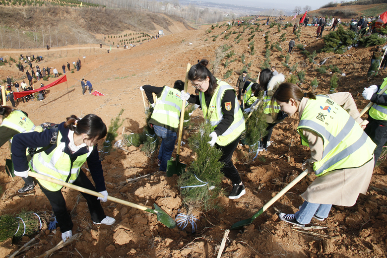 é建å山路桥éå¢å¼å± æ¤æ è æ´»å¨