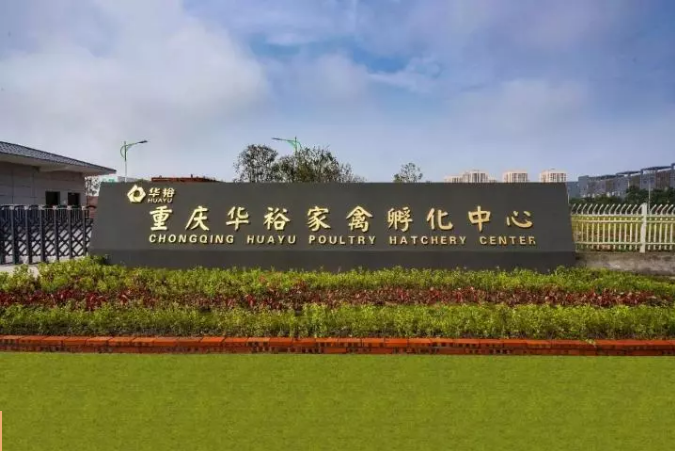 2019国际蛋鸡产业创新高峰论坛暨华裕西南项目竣