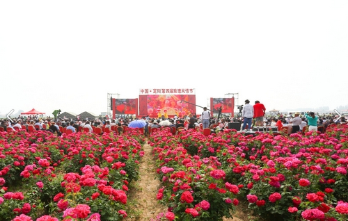 中国定陶第四届玫瑰风情节盛大开幕!
