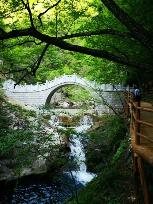 洛阳栾川天河大峡谷景区荣获河南避暑旅游目的地称号