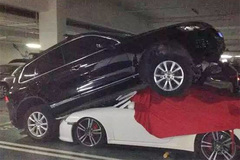 为什么都爱黑女司机 因为她们确实可爱