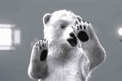 我是只熊 但经不起你们这样折腾！