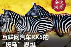 《安定洞察》互联网汽车RX5的“斑马”思维