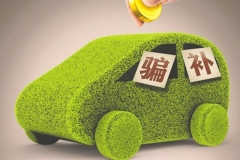 新能源骗补事件伤在哪？