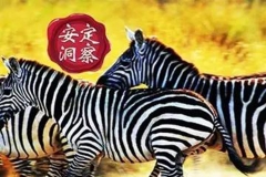 李安定:互联网汽车RX5的“斑马”思维