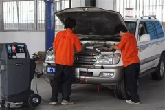 为什么有些二手车特保值 而我的车五年亏半