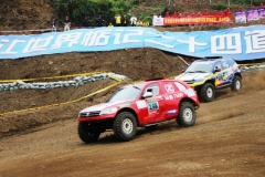 犯规也挡不住 众泰T600获得多项冠军