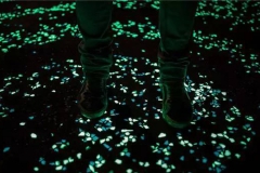 太阳能公路：走路开车什么的，真带电