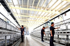 “裸车销售+电池租赁”新能源汽车启动商业革命