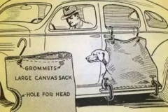 这些曾经出现在汽车上的雷人配置，都被减了