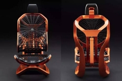 雷克萨斯被蜘蛛网缠住了