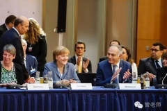 管学军：“德国禁燃事件”与“两条腿走路”