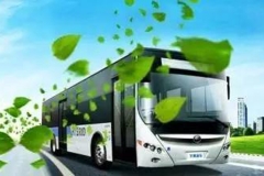 疯狂的新能源大巴：骗补之路还能走多远？
