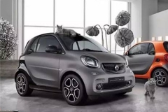 这些限量特别版车型是实惠还是坑爹