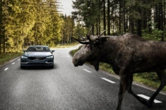 外媒评未来10种最热门的汽车配置有大半你听都没听过