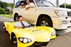 盘点打破吉尼斯记录的汽车，见过2辆以上算你厉害