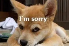 高速遇见狗，撞还是躲？90%都会做错！