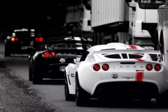 改宽体成为新潮流 看看这一枝出淤泥而不染的“黑莲花”