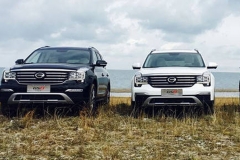 GS8订单破万辆 国产高端车也能成爆款？