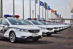 三十而立 吉利要扛起中国汽车国际化大旗