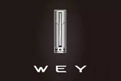 不高端就会死 魏派能成功吗