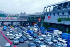 大部分国人选车口味都是这样，你也是吗？