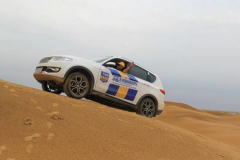 没有大动作 怎敢惊动您