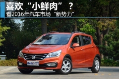 喜欢“小鲜肉”？看2016年汽车市场“新势力”