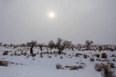 长安马自达CX-5冬季西域行 遇见克拉玛依