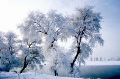 冰雕/冰捕/炖鱼 吉林松花湖自驾游记