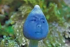 别再吐槽国产车不行了！先看看这些丑到想哭的外国货！