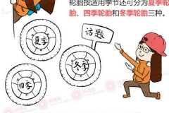 晶酱告诉你 冬季轮胎真的可有可无吗？