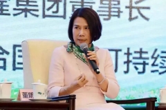 珠海银隆股权结构曝光：董明珠持股7.5%