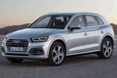 奥迪新一代Q5国内路试谍照 或年内上市