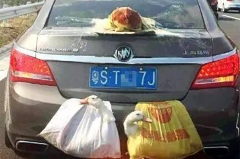 过年回家，这些东西不能放在后备箱！