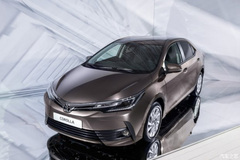 全球车市Top100榜上有几款我国车型？