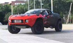 终于有人把这个怪物买了，中国首提异形大脚怪