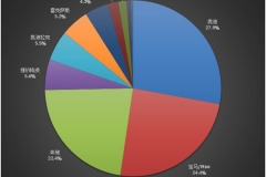 未来十年，谁是豪华品牌第二阵营领头羊