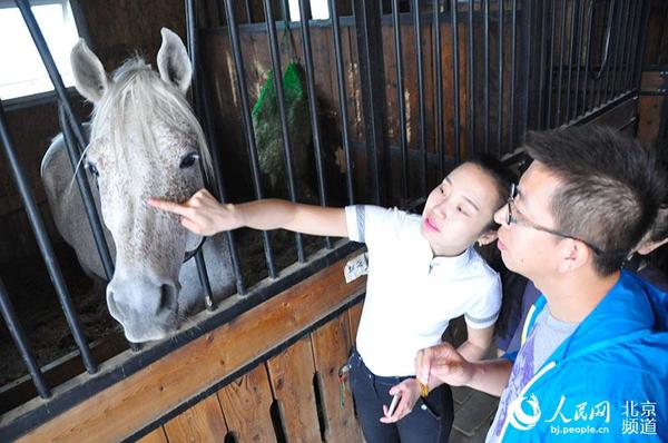 马场，工作人员在向游客介绍马匹情况。 人民网 陈一诺摄