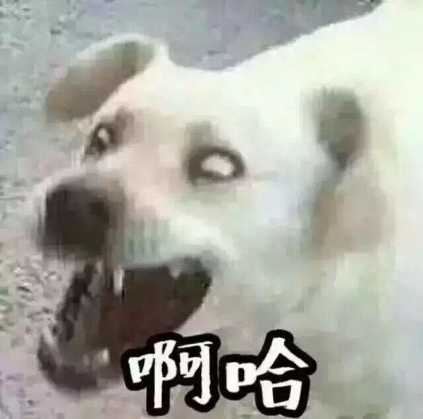 劳琳将笔增至30支