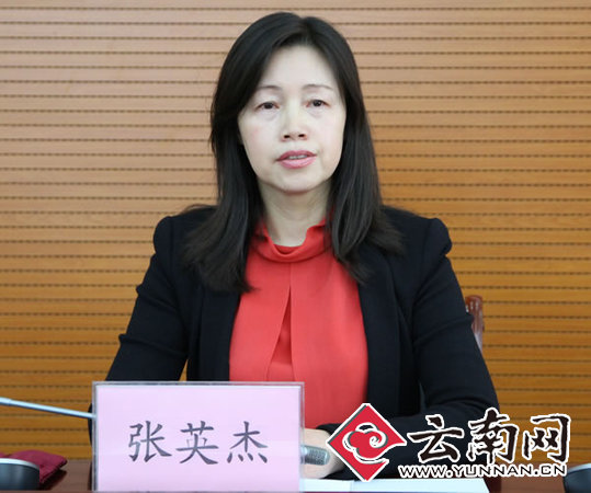 专访昆明理工大学党委书记张英杰:践行五大发展理念 建特色鲜明研究型