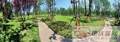 生态北碚，充满绿色生机。 徐建 摄