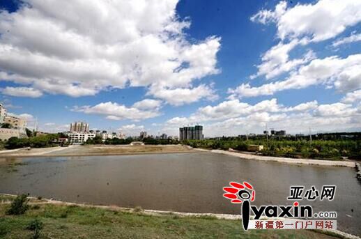 图为百商百乐苑路段的和平渠缓水池,可能也将因施工而受到影响。