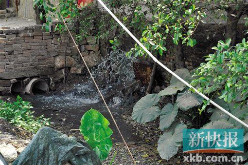 ■废旧机油未经任何处理直接排放。