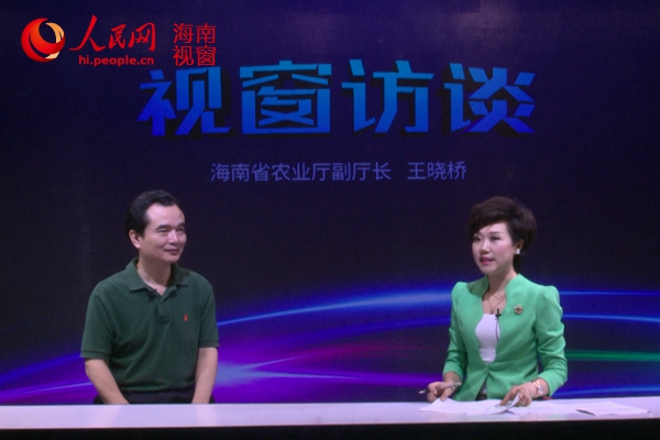 海南省农业厅副厅长王晓桥作客人民网海南视窗《视窗访谈》