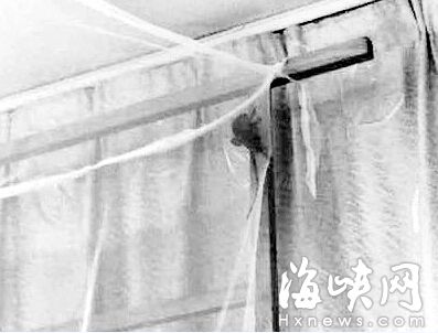 福州一学校半夜老鼠窜上床 女生吓得跌下铺