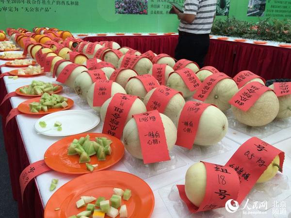 甜瓜组也来打擂。人民网 孟竹 摄