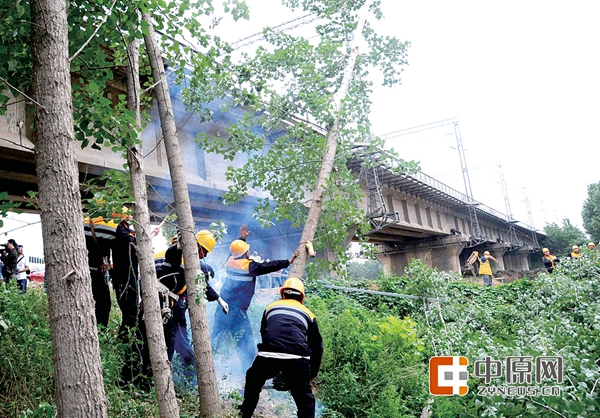 清理铁路沿线的危树