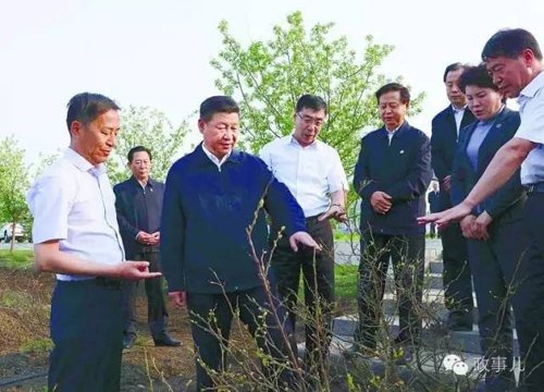 右二为高环